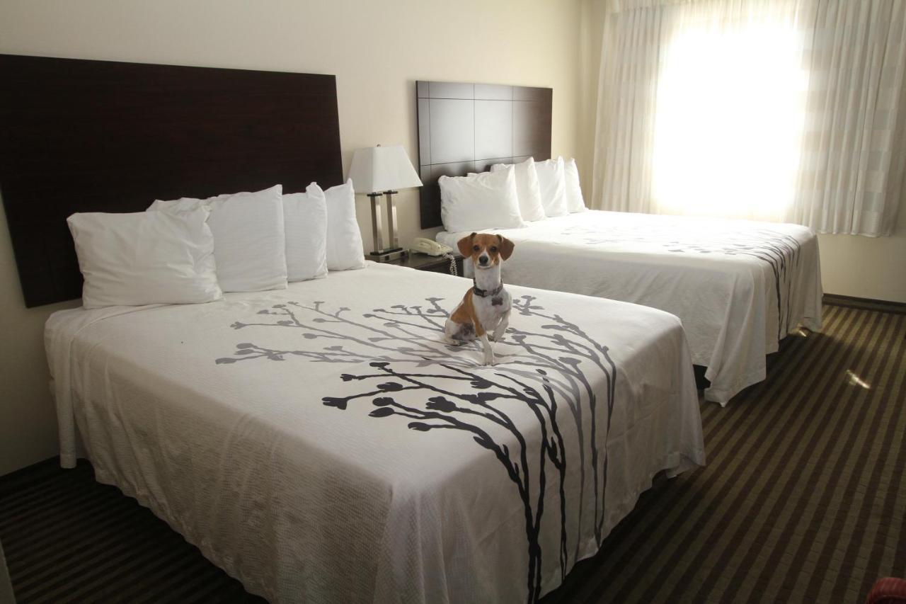 Bowman Inn And Suites מראה חיצוני תמונה
