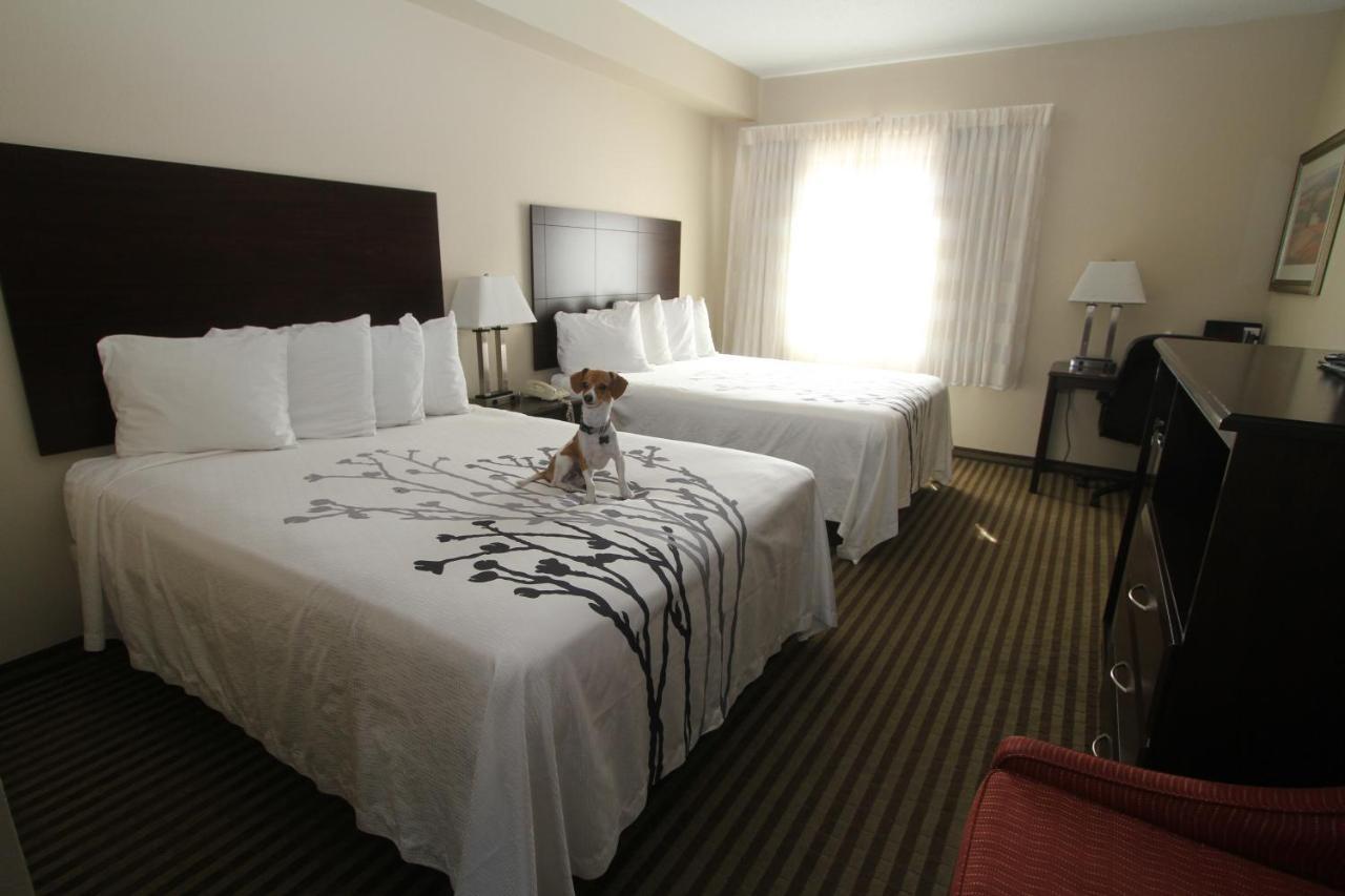 Bowman Inn And Suites מראה חיצוני תמונה